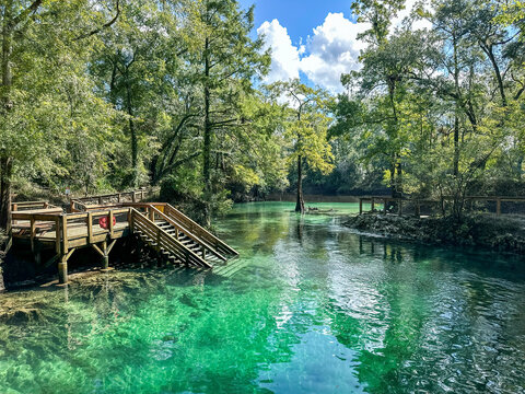 Madison Blue Springs, Madison Blue Springs State Park, Florida