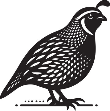 recommend clip art: quail bird black silhouette vector, silhouette vector art illustration