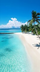 Fototapeta premium summer background