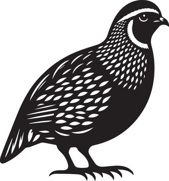 recommend clip art: quail bird black silhouette vector, silhouette vector art illustration