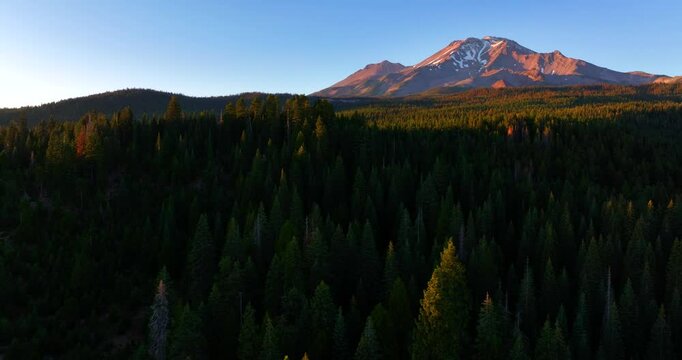Forest and Trees with Mt Shasta at Sunset Aerial Drone