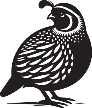 recommend clip art: quail bird black silhouette vector, silhouette vector art illustration