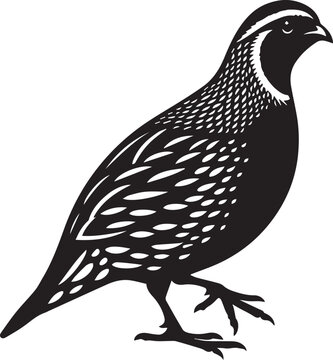 recommend clip art: quail bird black silhouette vector, silhouette vector art illustration