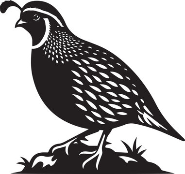 recommend clip art: quail bird black silhouette vector, silhouette vector art illustration