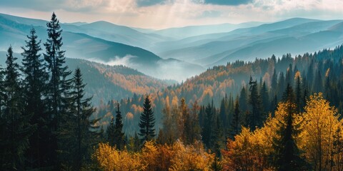 Forest landscape with dramatic mountain scenery