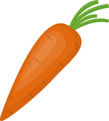 Fresh nature vegetable carrot