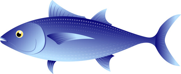 Fresh seafood tuna fish