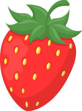 Fresh fruit straberry