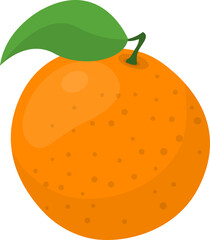 Fresh fruit citrus orange