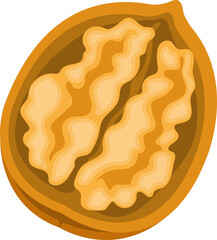Nature food nuts opened walnut