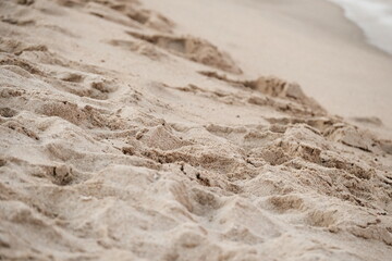 해변의 모래사장