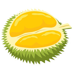Durian Tropical Fruit Illustration