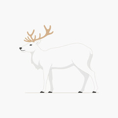 Deer Antlers Wildlife Forest Nature