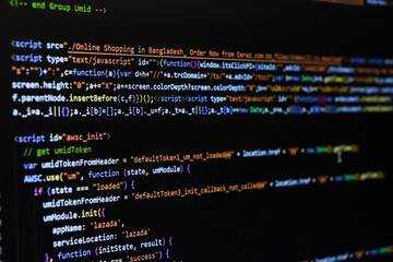 Software source code. Programming code. Programming code on computer screen. Developer working on...