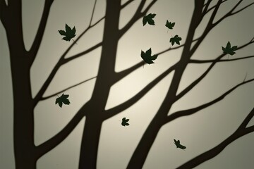 Fototapeta premium Realistic Shadow Overlay of Tree Branches and Leaves on Isolated Backgrounds