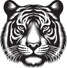 Tiger Design And vector Art