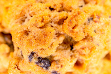 Macro of Chocolate Chip Cookie