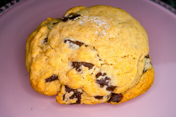 Salted Chocolate Chip Cookie