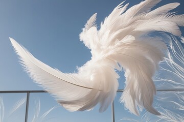 Obraz premium Elegant White Feathers Floating Gracefully on a Clear Background with Beautiful Patterns