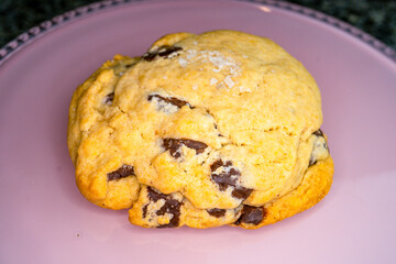 Salted Chocolate Chip Cookie