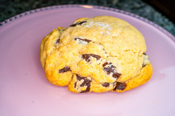 Salted Chocolate Chip Cookie