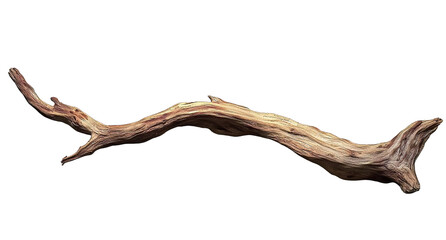 Fototapeta premium Dry Driftwood Branch, Isolated on a Transparent Background