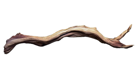 Dry Driftwood Branch, Isolated on a Transparent Background