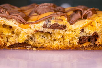 Thick Chocolate Chip Cookie with Drizzle of Chocolate