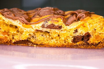 Thick Chocolate Chip Cookie with Drizzle of Chocolate