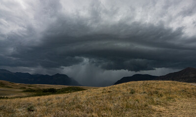 Summer storm