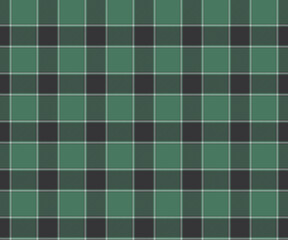 Plaid fabric pattern, green, black, white, seamless for textile and design clothes skirt pants apron tablecloth blanket or decoration. Vector illustration.