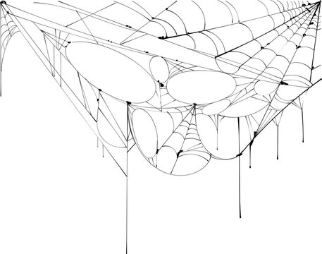 Torn spider web hanging on white background template greeting postcard halloween. Vector isolated