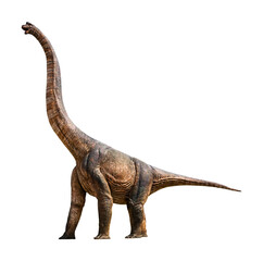 Brachiosaurus is a herbivore genus of sauropod dinosaur that lived in the Late Jurassic. Brachiosaurus has a transparent background. © Around Ball