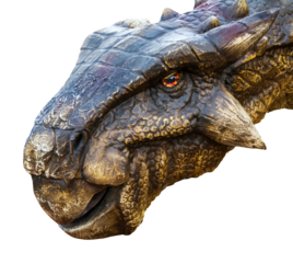 Ankylosaurus head. Ankylosaurus is a herbivore genus of armored dinosaurs that lived from the very end of the Cretaceous period. Ankylosaurus has a transparent background.