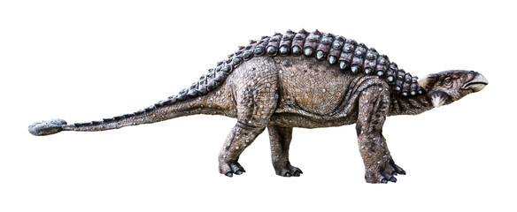 Naklejka premium Ankylosaurus is a herbivore genus of armored dinosaurs that lived from the very end of the Cretaceous period. Ankylosaurus has a transparent background.
