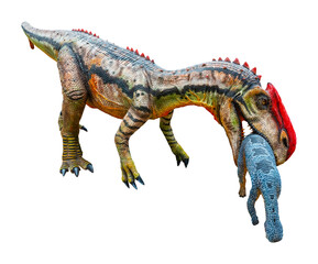 Monolophosaurus is eating the prey. Monolophosaurus is a carnivore genus of tetanuran theropod dinosaurs from the Middle Jurassic. Monolophosaurus with transparent background