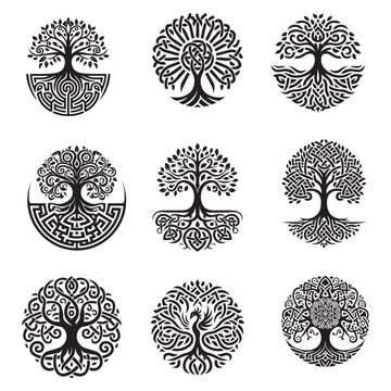 Set of Celtic Tree of Life collection - Celtic Tree  Silhouette - Celtic knot illustration in black and white