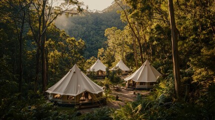 Luxury Glamping Tents in Lush Rainforest with Golden Sunlight