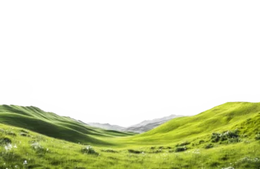grass and mountains