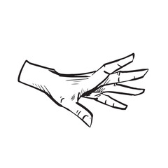 Obraz premium Hand drawn object illustrations in sketch art style