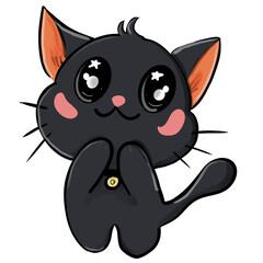 black cat with eyes