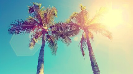 Fototapeta premium Two Palm Trees Under Sunny Skies