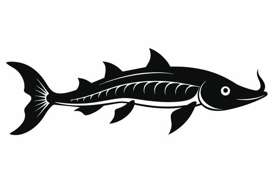 recommend clip art: Sturgeon fish silhouette black vector art illustration
