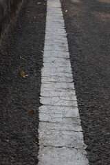 Photo of white road markings on asphalt