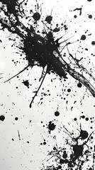 Obraz premium Dramatic Black and White Abstract Paint Splatter Composition