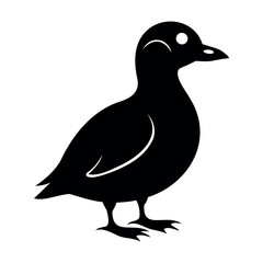 Parakeet auklet Black silhouette isolated on a white background, Duck silhouettes, vector collection