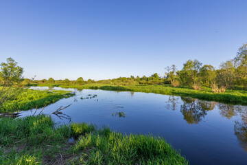 A calm lake with trees in the background