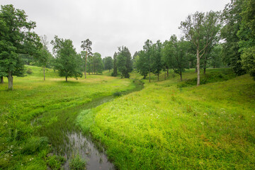 A serene stream winds through a vibrant meadow, surrounded by tall trees on a calm, overcast day, inviting a sense of peace and natural beauty.