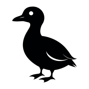 recommend clip art: Parakeet auklet Black silhouette isolated on a white background, Duck silhouettes, vector collection