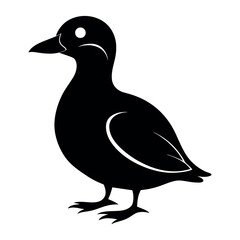 Parakeet auklet Black silhouette isolated on a white background, Duck silhouettes, vector collection